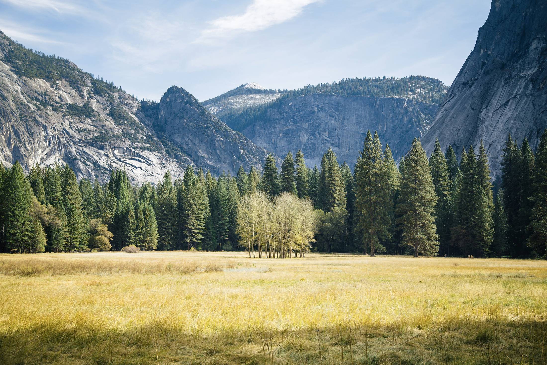 A wide meadow of dry grass running to a treeline with granite ridges beyond, late light.